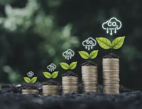 Klimaschutz auf dem Weg nach oben